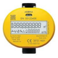 Axioma Water Meter DN20